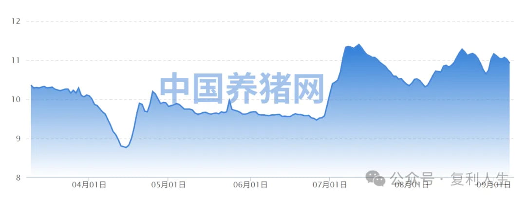 生猪现货价格