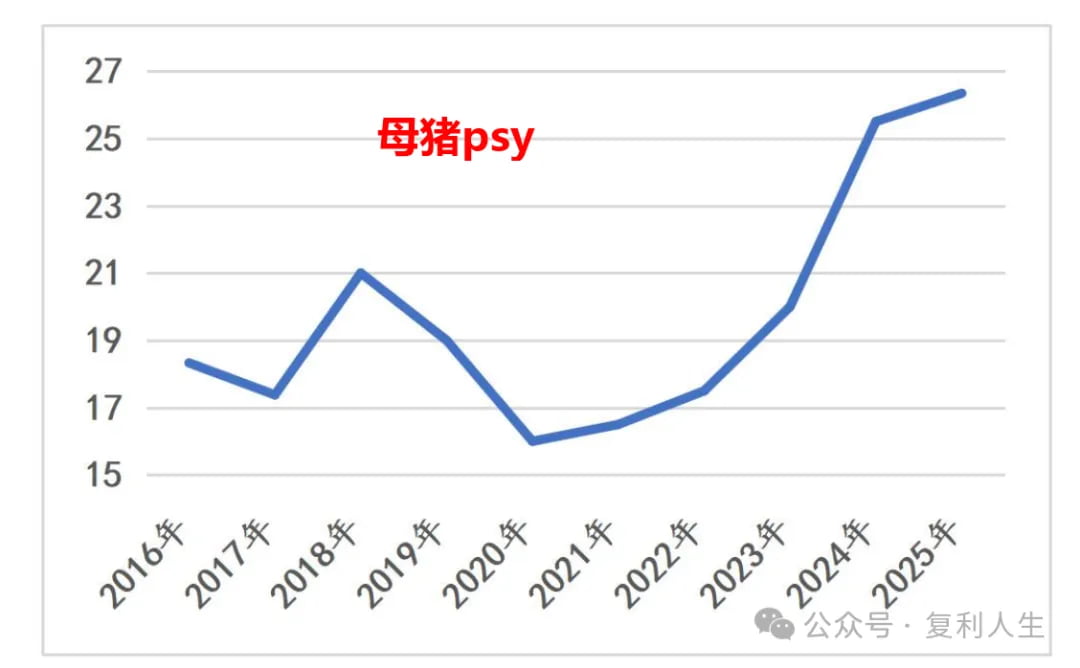 母猪spy